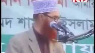 Heavy Weight Speech By Allama Deloar Hossain Saidi [upl. by Orimar973]