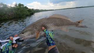 Matlacha Pass Kayak Fishing on hobie Outback [upl. by Ainaled]