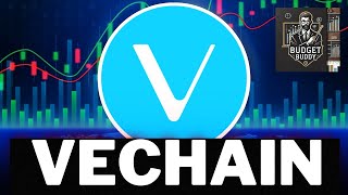 vechain Whats NEXT vetcrypto vechainnewstoday [upl. by Kathlene]