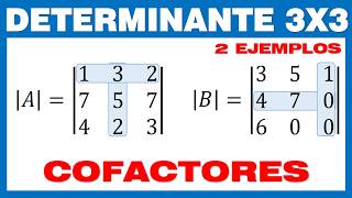 Determinante 3x3 Método de Cofactores [upl. by Elocim467]