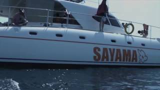 PATTAYA FULL DAY TRIP with Serenity Yachting [upl. by Uel]