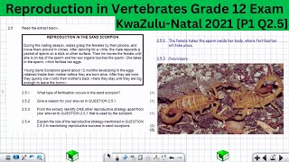 Reproduction in Vertebrates Life Sciences Grade 12 Exam Questions KwaZuluNatal 2021 P1 Q25 [upl. by Trinetta]