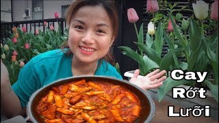 🇯🇵Làm amp Ăn Thử Bánh Gạo Cay Phô Mai Hàn Quốc Giữa Vườn Hoa Tulip Tteokbokki 193 [upl. by Annig]