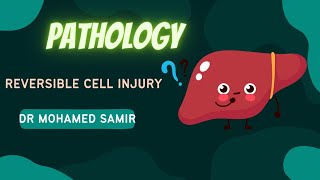 Reversible cell injury [upl. by Roberta]