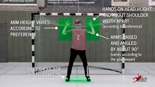 Handball Goalkeeper Training  Basic Position  Technique explanation [upl. by Adieno]