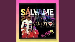 SÁLVAME Merengue feat EL NEKKO [upl. by Calondra]