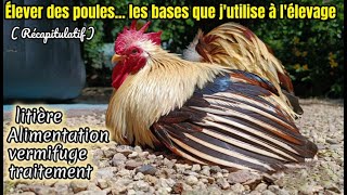 élever des poules quelques conseils alimentation vermifuge [upl. by Flagler618]