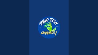 Danio Fish Community Show Entries 2024 [upl. by Nytsirhc]