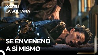 Handan Sultan Se Suicidó  Kosem La Sultana Episodio 33 [upl. by Hacceber992]