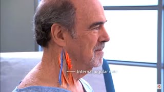 Examination of the jugular venous pulse  JVP examination Procedure video [upl. by Yecac]