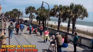 Dirty Don’s Oyster Bar Live Cam  South Carolina Live Cam  Myrtle Beach boardwalk live cam [upl. by Frederico]