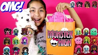 NEW Monster High Minis Mattel Blind Bags Draculaura Frankie Stein Lagoona Blue B2cutecupcakes [upl. by Jacqui]