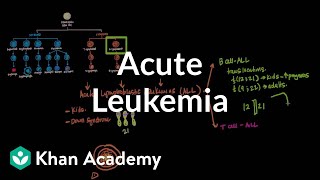 Acute leukemia  Hematologic System Diseases  NCLEXRN  Khan Academy [upl. by Linc]