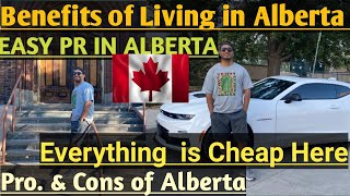 PRO amp CONS OF LIVING IN ALBERTA CANADA🇨🇦🇨🇦 IS ALBERTA IS WORTH iT 🇨🇦EASY PR IN ALBERTA 🇨🇦canada [upl. by Averell]