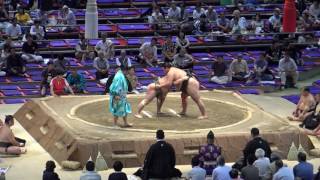 勝誠水戸龍201771519shoseimitoryuday7 sumo [upl. by Ahgem]