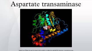 Aspartate transaminase [upl. by Roseanna]