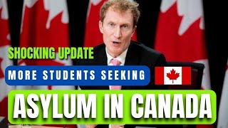 Nearly 13K international students applied for asylum in Canada this year data showsthewestblock [upl. by Annawad376]