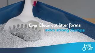 Discover Ever Clean at Pets at Home  Only £15 [upl. by Veleda]