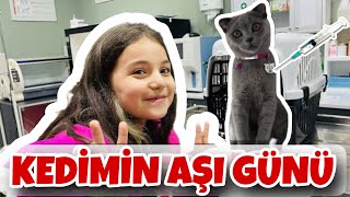 KEDİMİZ SİS AŞI OLDU  VETERİNER VLOG [upl. by Elgna]