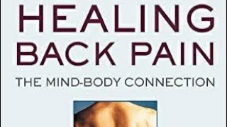 Healing Back Pain by Dr Sarno quotTMSquot [upl. by Haleemak]