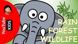 Learn Wild Rainforest Animals Names and Sounds with Actual Pictures  YouTube Kids [upl. by Costello]