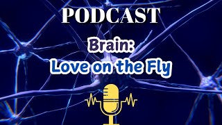 Brain Love on the Fly [upl. by Anahsor]