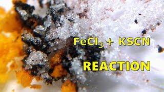 Iron III Chloride Reaction With Potassium Thiocyanate FeCl3  KSCN [upl. by Delanos25]