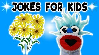 FUNNY FLOWER JOKE  JOKES FOR KIDS Pilgrims Mayflower Flower Joke Rain FUNNY Sock Puppet [upl. by Rabjohn]