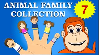 Finger Family Collection  7 Animal Finger Family Songs  Daddy Finger Nursery Rhymes [upl. by Bianchi587]