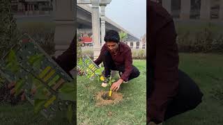 Planting 1 Lakh Trees 🌳 shortsfeed socialwork treeplanting [upl. by Sylado790]