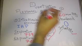 Respiratory new system Steps and Mechanism of Ventilation dr mohamed fayez [upl. by Aikaz]