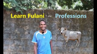 Professions  Basic Introduction to Central Nigerian Fufulde Part 16 [upl. by Appleby]