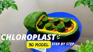 Chloroplast model biology project science exhibition NakulSahuArt [upl. by Ulick800]