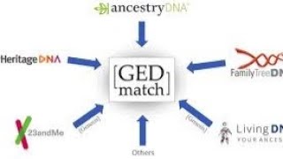 MY GEDMATCH ETHIOHELIX amp DODECAD PROJECT RESULTS USING MY 23 amp ME RAW DATA ETHIOPIAN JEW [upl. by Marietta]