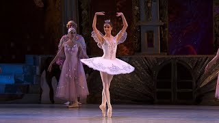 EXTRACT  Dance of the Sugar Plum Fairy  NUTCRACKER Tchaikovsky  National Opera of Ukraine [upl. by Adnaloy]