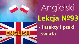 Język Angielski  №93 Insekty i ptaki świata Angielski dla Polaków Słowa tematyczne [upl. by Nivrehs]