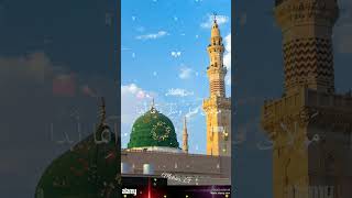 New naat Islamic video viral video Short video i love Madina💗💗💓💓💓💓💓💓💓💓💓💓 [upl. by Silvia]