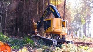 Feller Buncher Tigercat L830C [upl. by Gregorio]