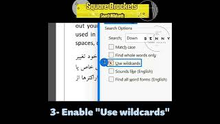 How to use Square Brackets in Wildcards in Words Find and Replace [upl. by Porush]