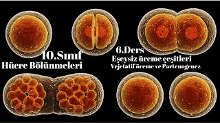 10 Sınıf Biyoloji Partenogenez ve Vejetatif üreme 6Ders [upl. by Nabla960]