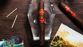 Punch Vintage Cigar Review [upl. by Anujra40]