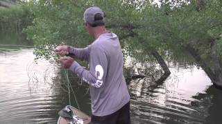 Paddleboards and fly tackle  fun [upl. by Oiramaj966]