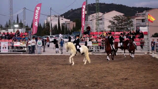 201509 Exhibición Social doma clásica Escuela Antonio Sánchez Los Caballos del Vino by zAkAtYn 👀 [upl. by Nosyla]