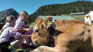 Sommerurlaub in der Alpenwelt Karwendel [upl. by Asereht]