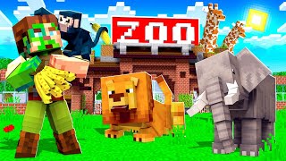 I Built a Zoo for EVERY ANIMAL in Minecraft [upl. by Kuster]