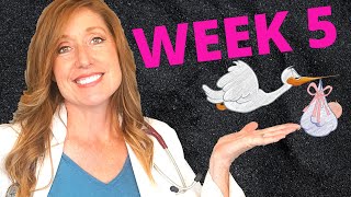 What are 5 week pregnancy symptoms PLUS you baby development and your first OB appointment [upl. by Ailecnarf5]