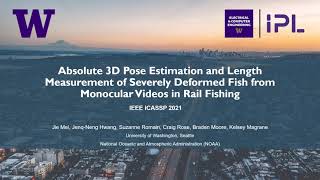 Absolute 3d Pose Estimation and Length Measurement of Severely Deformed Fish from Monocular Videos [upl. by Neela]