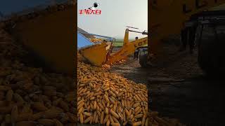 Fengwei Seed Industryquot Fengwei Bai This work has been played sowingseeds sowing foryou automobil [upl. by Curtice]