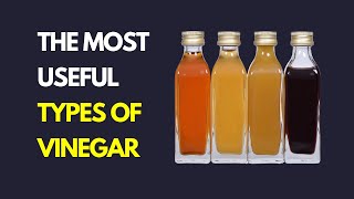 Exploring the Most Useful Types of Vinegar  A Simple Guide for Vinegars [upl. by Hafinah]