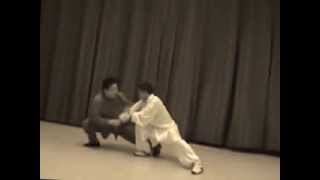 Pushing hands 4 Chen Xiaowang Chen Bing tuej shou taijiquan chen master taiji [upl. by Nate]